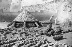 Stacks of limestone stones prepared for burning used in plaster and painting work in front of the Qatif Castle
