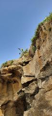 Caves Of Hercules (Tanger)