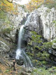 Boyana Waterfall in Bulgaria surrounded by lush green forest