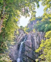 Boyana waterfall cascading over rocky terrain surrounded by green forest
