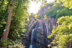 Boyana waterfall cascading down rocky terrain surrounded by greenery