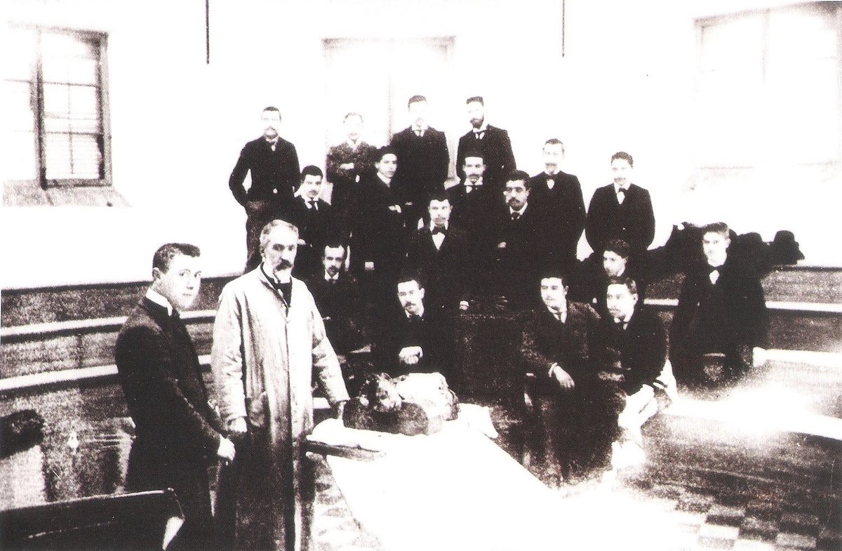 Anatomy dissection class in an amphitheater at the Faculty of Medicine