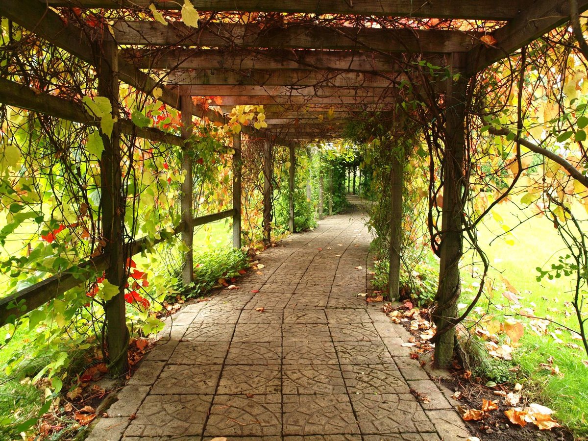 Scenic view of 6th of October Park in Cairo Governorate, Egypt with lush greenery and walkways