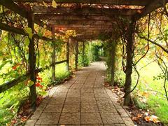 6Th Of October Park