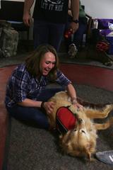 Retired U.S. Army Staff Sgt. Randi Gavell with service dog Bella at Army Trials reception area, El Paso International Airport, 2016