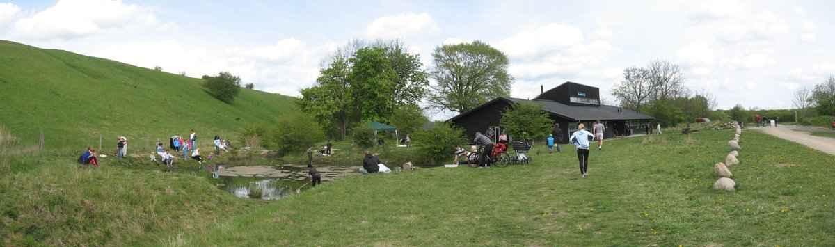Activity around the waterhole at Naturcenter Herstedhøje during Forest Day 2009