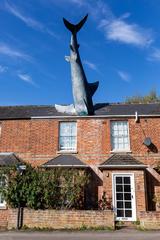 The Headington Shark sculpture on a rooftop in Oxfordshire UK