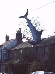 The Headington Shark sculpture on a rooftop in Oxford