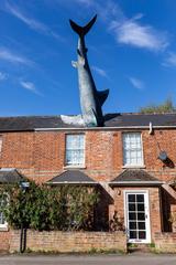 The Headington Shark sculpture mounted on a house rooftop in Oxfordshire, UK