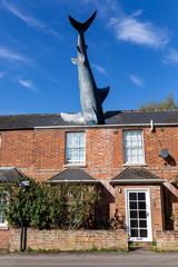 The Headington Shark sculpture mounted on a house roof in Oxfordshire UK