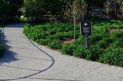 Toronto Music Garden with lush greenery and walking paths along the waterfront