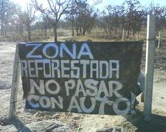 Restoration of hardwood nixticil forest with defoliated oak trees and a sign prohibiting motorized vehicles in Guadalajara, Jalisco, Mexico