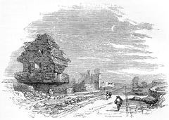 Ancient Appian Way in Rome with trees and ruins on both sides