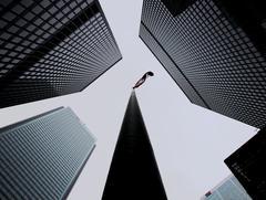 Financial District skyline with modern skyscrapers in Toronto, Canada