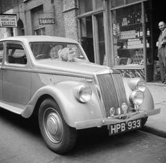 Cat sitting on a luxury car in Soho London street in 1947