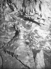 Entrance of Pál-völgy cave surrounded by rocky terrain and greenery