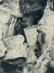 Entrance of Pál-völgy Cave surrounded by green foliage and rocky terrain