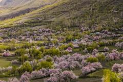 Chunda Valley