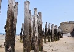 Wooden protective stakes on the beach in front of the Saint-Malo ramparts