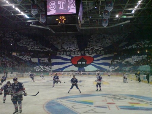 Supporters of Adler Mannheim in the stadium waving flags and cheering