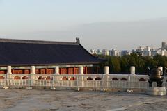 Temple of Heaven in Beijing surrounded by lush trees under clear blue sky