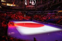 Opening ceremony of the 2011 World Figure Skating Championships dedicated to Japan tragedy
