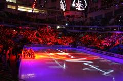 Opening ceremony of the 2011 World Figure Skating Championships dedicated to Japan tragedy