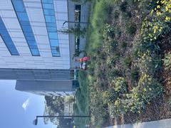 Giant red fire hydrant sculpture at San Francisco State University