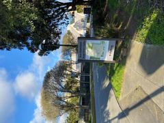 Street view at San Francisco State University campus with palm trees and buildings