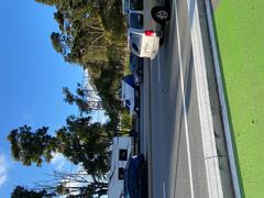 Streets of San Francisco State University with buildings and trees