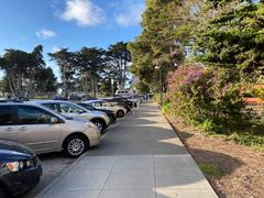 Streets of San Francisco State University with modern buildings and trees