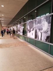 Photos of military medical personnel from World War II to Operation Enduring Freedom displayed at Brooke Army Medical Center Garden Entrance