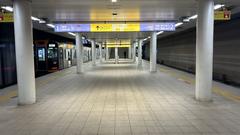 Hanshin Sakuragawa Station at night with illuminated station building and street
