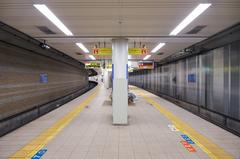 Platforms 1 and 2 at Hanshin Electric Railway Sakuragawa Station in Osaka
