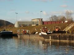 Geese at Güdingen lock and weir