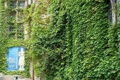Entrance to the Oriental Institute Museum at the University of Chicago with Ivy climbing on its walls