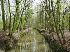 Wolbecker Tiergarten scenic park with lush green trees and walking path