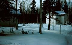 Seismic and Magnetic Observatory building in College, Alaska, 1964