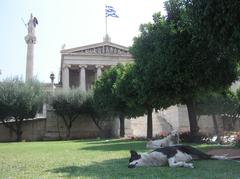 Multiple dogs resting on pavement in Athens during July 2006