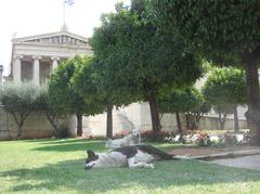 Two dogs sitting on pavement in Athens in July 2006
