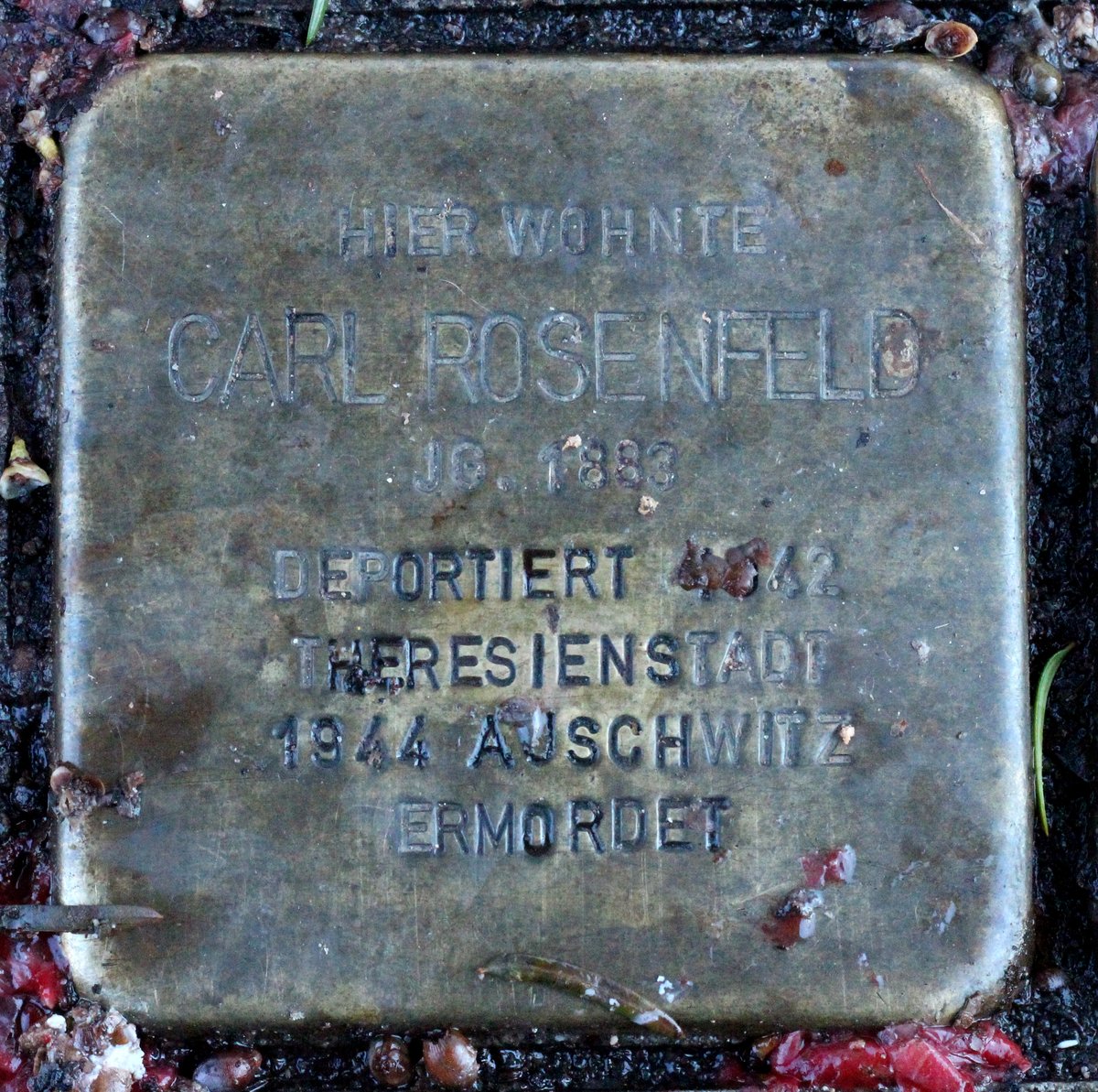 Stolperstein memorial stone dedicated to Carl Rosenfeld on Reinhold-Frank-Strasse 66 in Karlsruhe, Germany