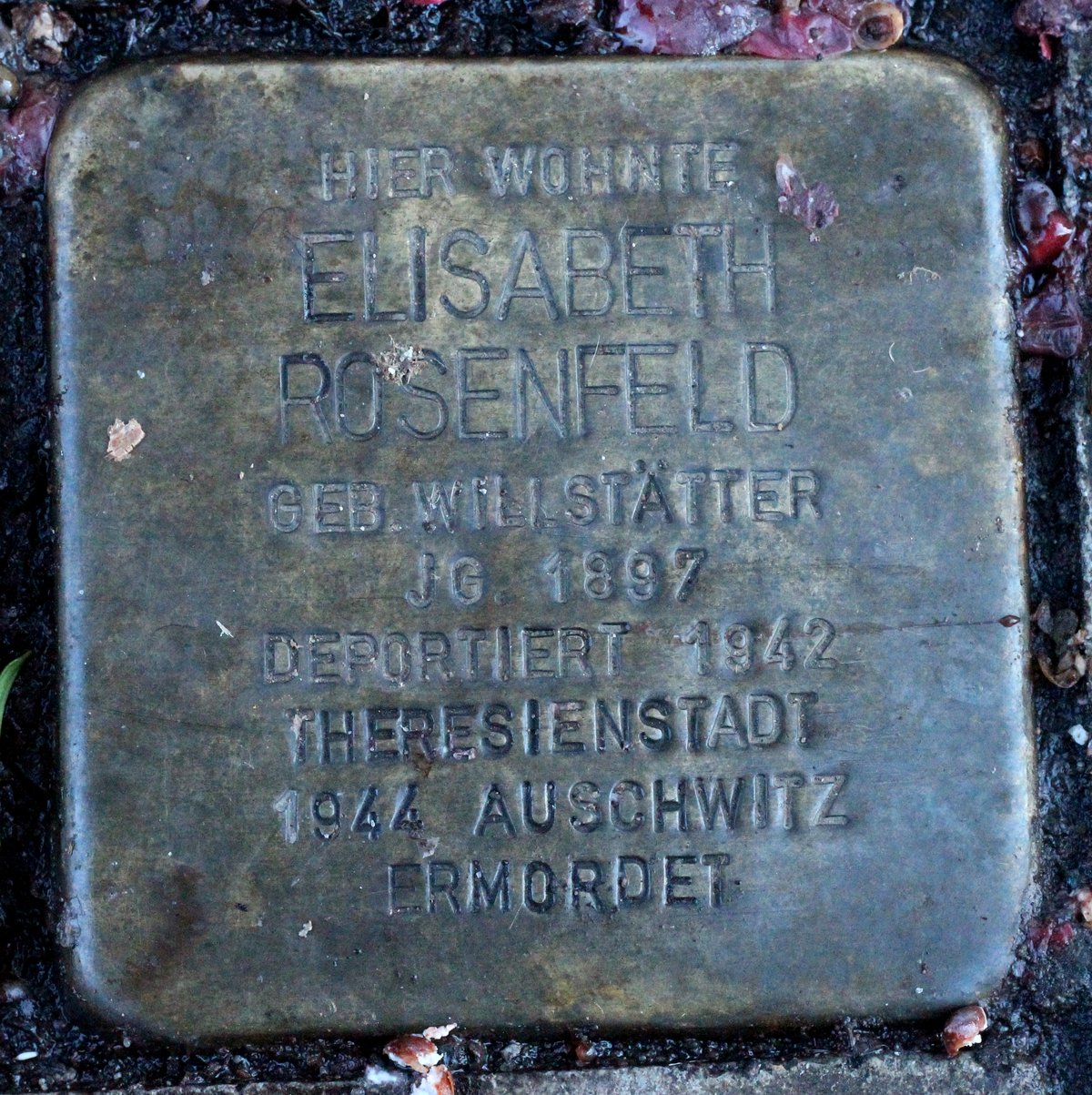Stolperstein memorial stone for Elisabeth Rosenfeld in Karlsruhe, Germany