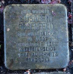 Stolperstein Dedicato A Elisabeth Rosenfeld