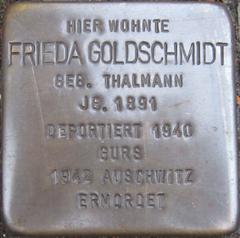 Stolperstein Dedicato A Frieda Goldschmidt