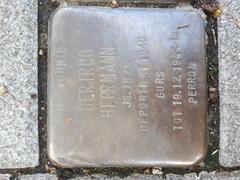 Stolperstein Dedicato A Gertrud Herrmann