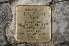 Stolperstein Dedicato A Hedwig Kühn