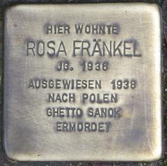 Stolperstein Dedicato A Rosa Fränkel