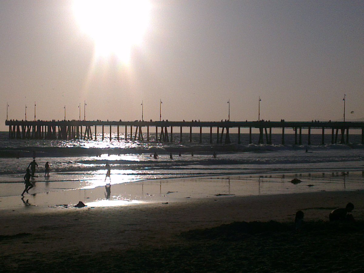Sunset over Venice Beach in Los Angeles with palm trees and colorful sky