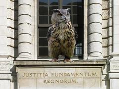 Owl and Justitia statue symbolizing wisdom and justice