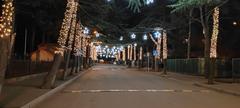 Calle Koba Abzianidze